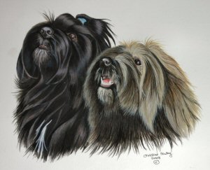 A pair of dogs